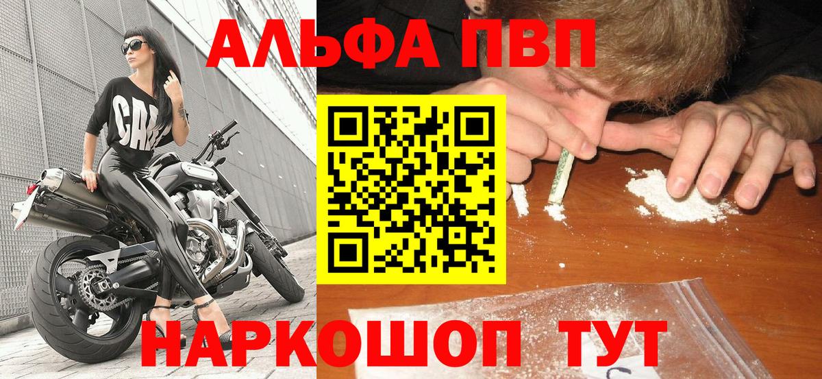 А ПВП СК Коряжма