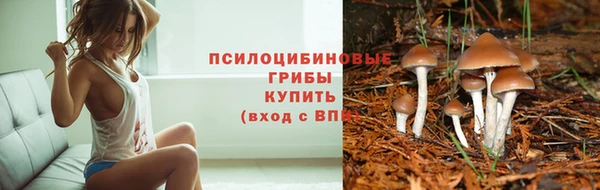 экстази Нефтекумск