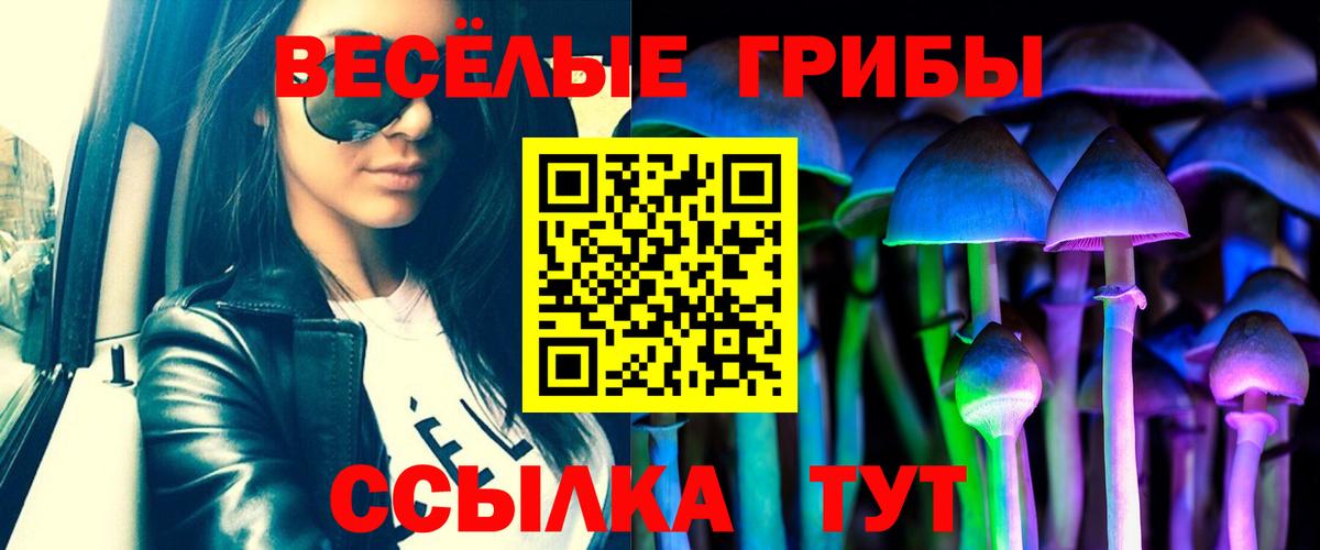 Галлюциногенные грибы Psilocybe Коряжма