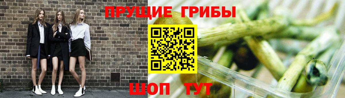 Галлюциногенные грибы GOLDEN TEACHER Коряжма